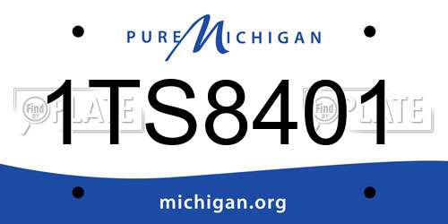 1TS8401 Michigan License Plate