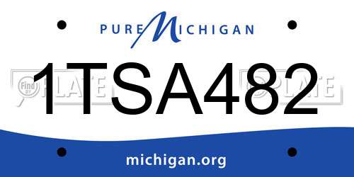 1TSA482 Michigan License Plate