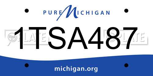 1TSA487 Michigan License Plate