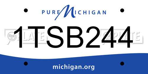 1TSB244 Michigan License Plate