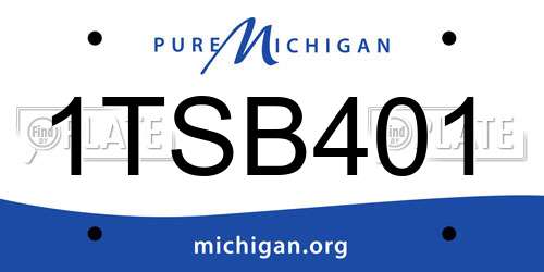 1TSB401 Michigan License Plate