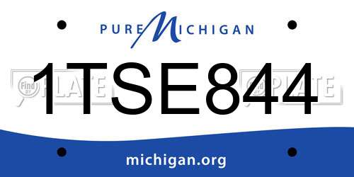 1TSE844 Michigan License Plate