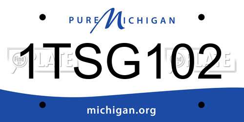 1TSG102 Michigan License Plate