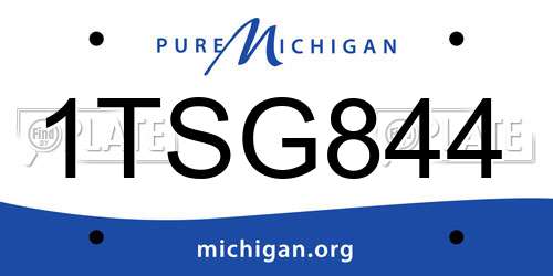 1TSG844 Michigan License Plate
