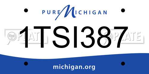 1TSI387 Michigan License Plate