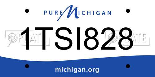 1TSI828 Michigan License Plate