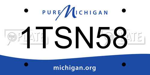 1TSN58 Michigan License Plate