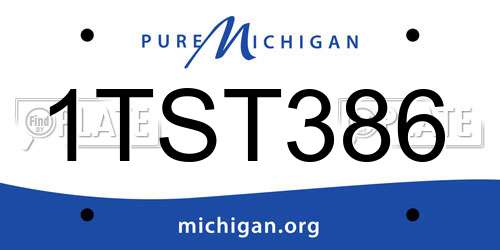 1TST386 Michigan License Plate