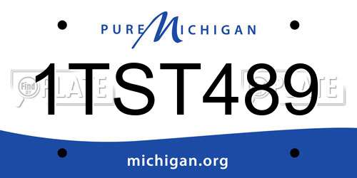 1TST489 Michigan License Plate