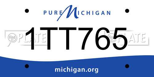 1TT765 Michigan License Plate