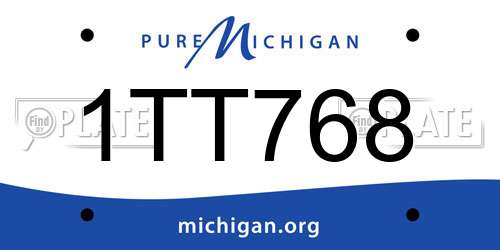 1TT768 Michigan License Plate