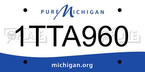 1TTA960 Michigan License Plate