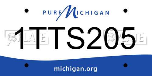 1TTS205 Michigan License Plate