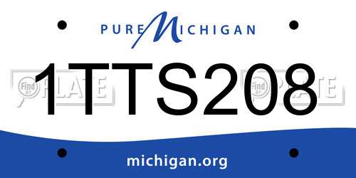 1TTS208 Michigan License Plate