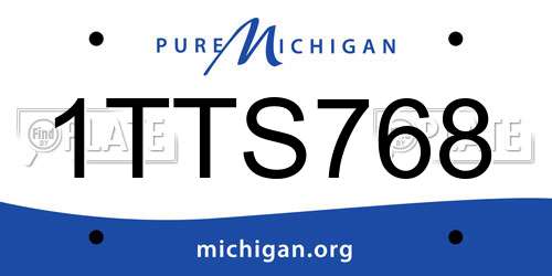 1TTS768 Michigan License Plate