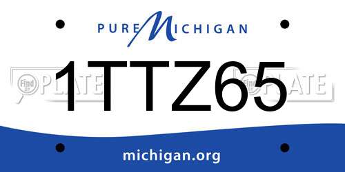 1TTZ65 Michigan License Plate