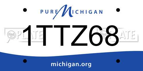 1TTZ68 Michigan License Plate