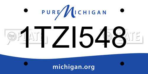 1TZI548 Michigan License Plate
