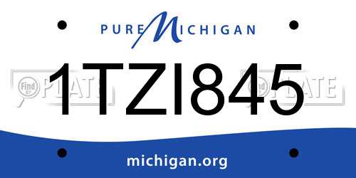 1TZI845 Michigan License Plate