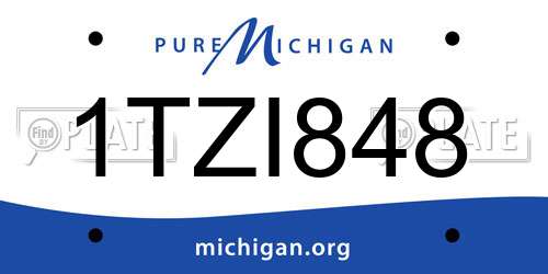 1TZI848 Michigan License Plate