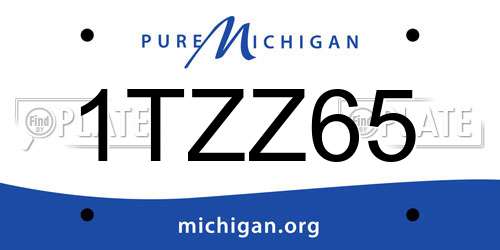 1TZZ65 Michigan License Plate