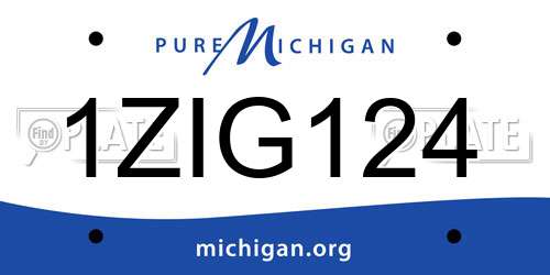 1ZIG124 Michigan License Plate