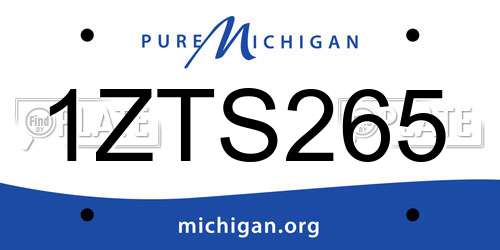 1ZTS265 Michigan License Plate