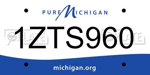 1ZTS960 Michigan License Plate