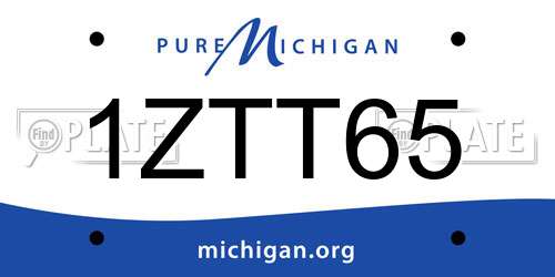 1ZTT65 Michigan License Plate