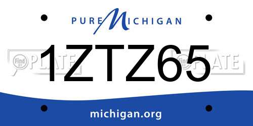 1ZTZ65 Michigan License Plate