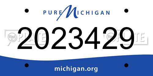 2023429 Michigan License Plate