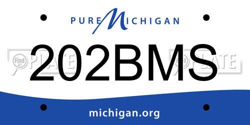 202BMS Michigan License Plate