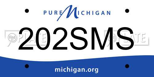 202SMS Michigan License Plate