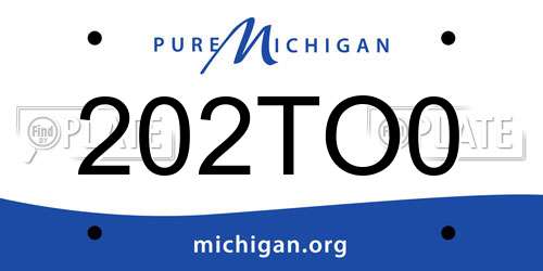 202TO0 Michigan License Plate