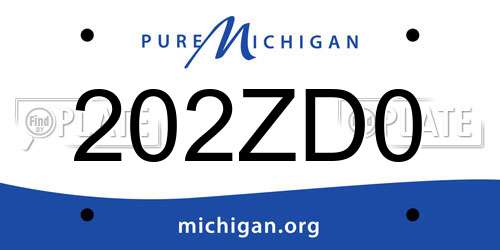 202ZD0 Michigan License Plate