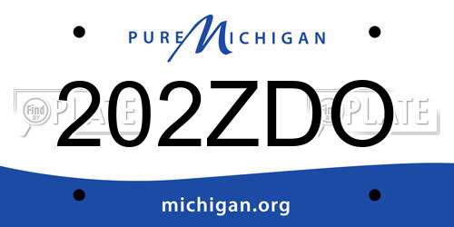 202ZDO Michigan License Plate
