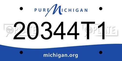 20344T1 Michigan License Plate