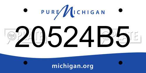 20524B5 Michigan License Plate