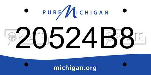 20524B8 Michigan License Plate
