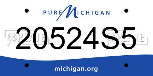 20524S5 Michigan License Plate