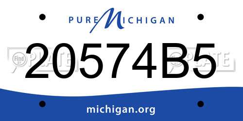20574B5 Michigan License Plate