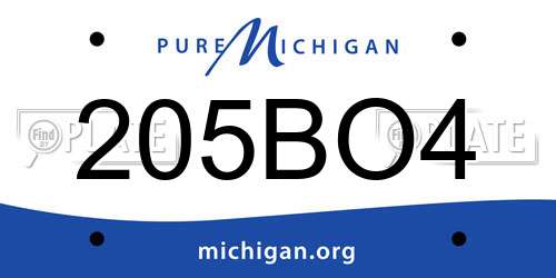 205BO4 Michigan License Plate