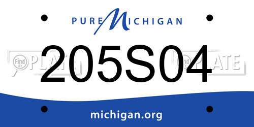 205S04 Michigan License Plate