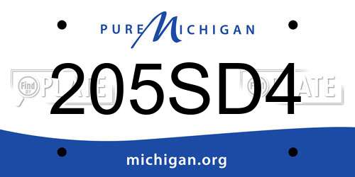 205SD4 Michigan License Plate