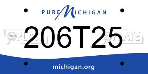 206T25 Michigan License Plate