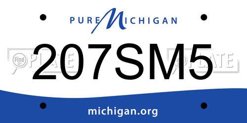207SM5 Michigan License Plate