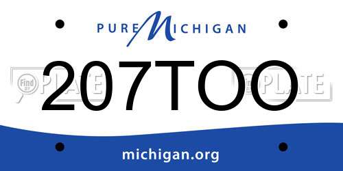 207TOO Michigan License Plate