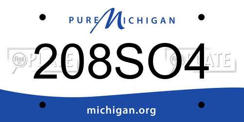 208SO4 Michigan License Plate