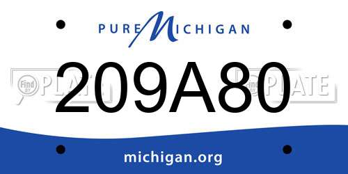 209A80 Michigan License Plate