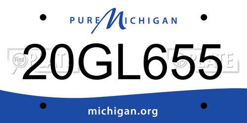20GL655 Michigan License Plate